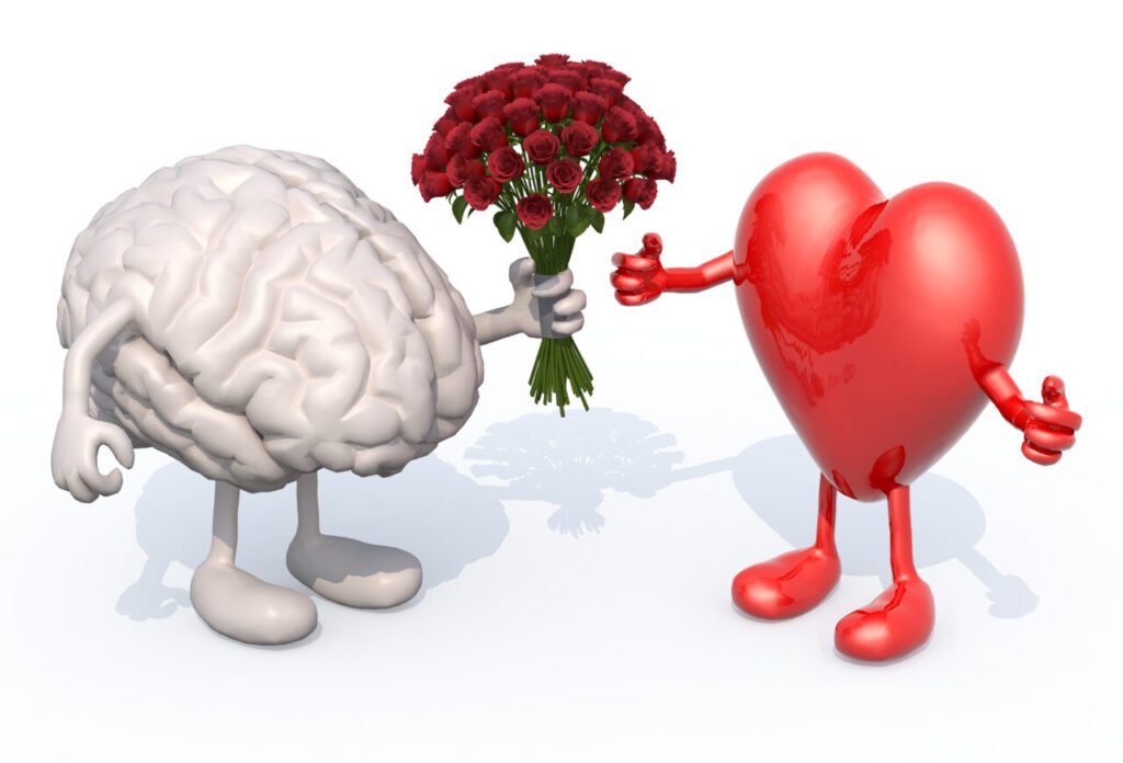 MadeToGrow - heart and brain love